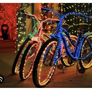 Path's 16th Annual Holiday Lights Ride